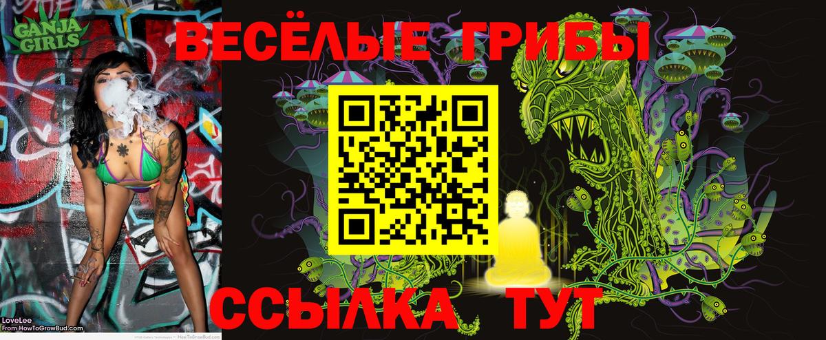 Сафоново  Псилоцибиновые грибы MAGIC MUSHROOMS  Вход с VPN 